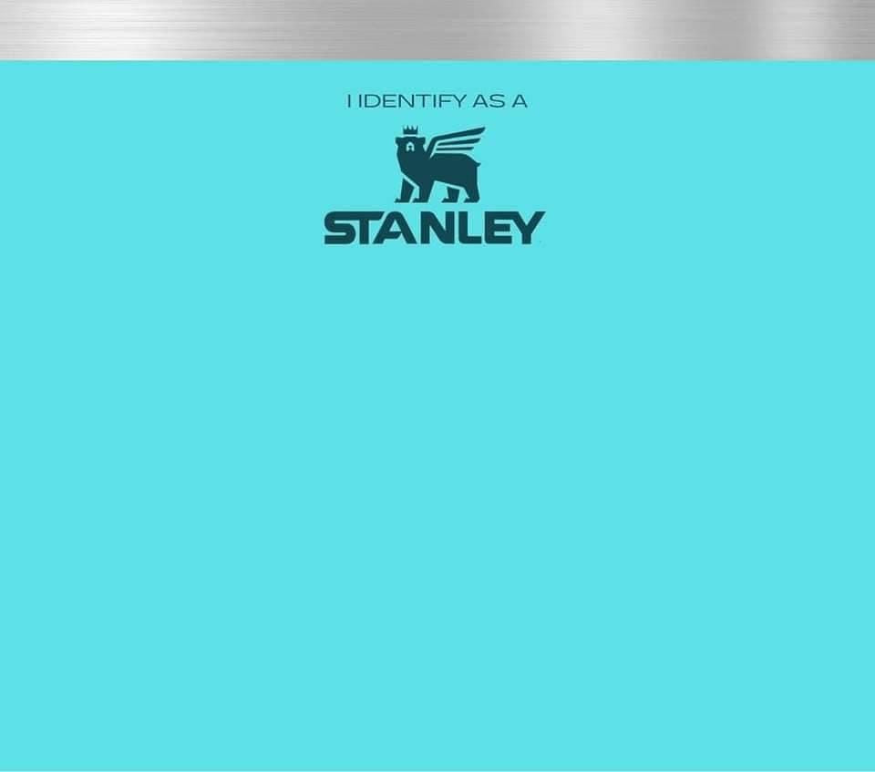 Identify as Stanley 20oz Tumbler