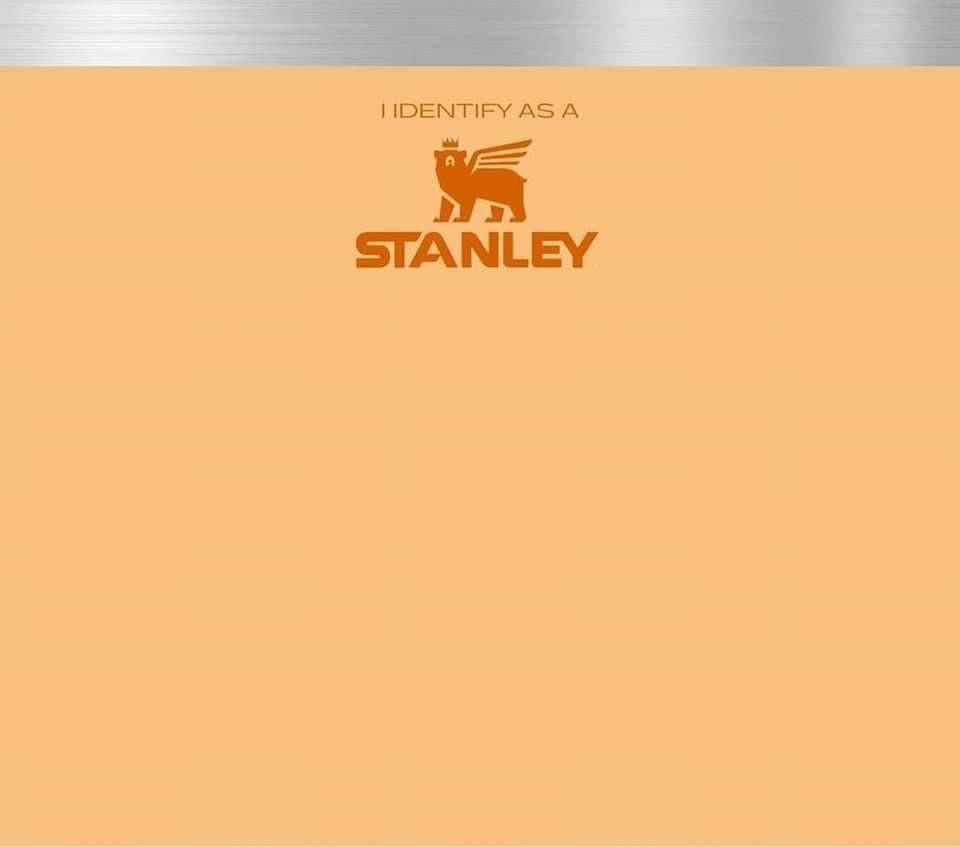 Identify as Stanley 20oz Tumbler