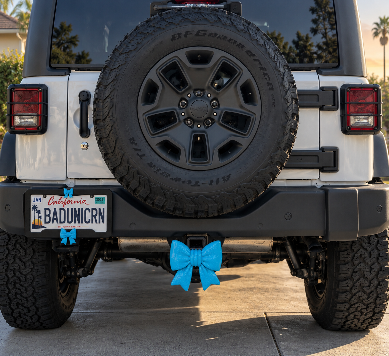 Chunky Bow License Plate Frame | 3D Printed Car Accessory (Black Frame Custom Color Bows)
